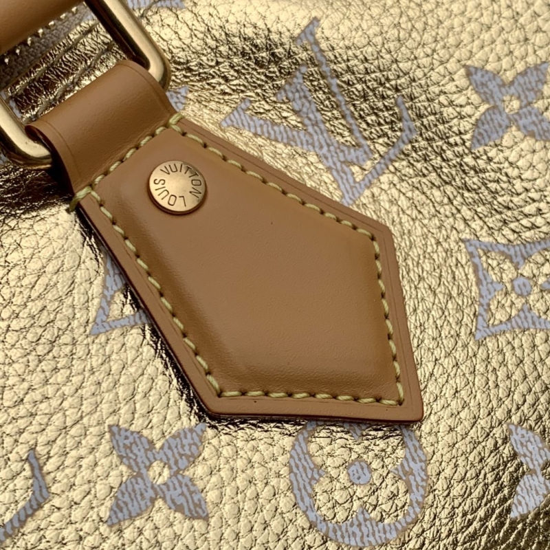LV Speedy Bags